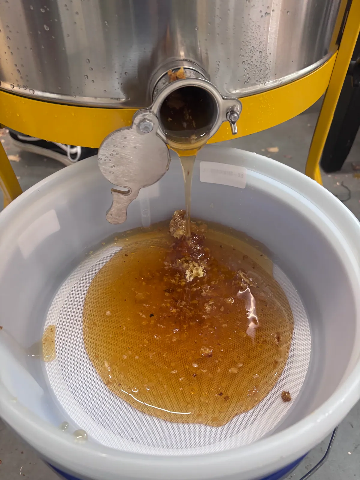 Honey runs from a stainless-steel extractor through a mesh strainer into a white bucket